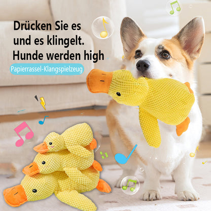 🦆Quak-Quak Spaß für Hunde! 🐾