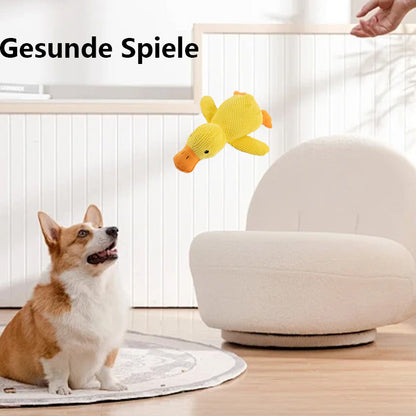 🦆Quak-Quak Spaß für Hunde! 🐾