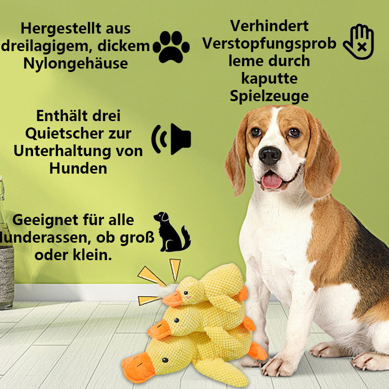 🦆Quak-Quak Spaß für Hunde! 🐾