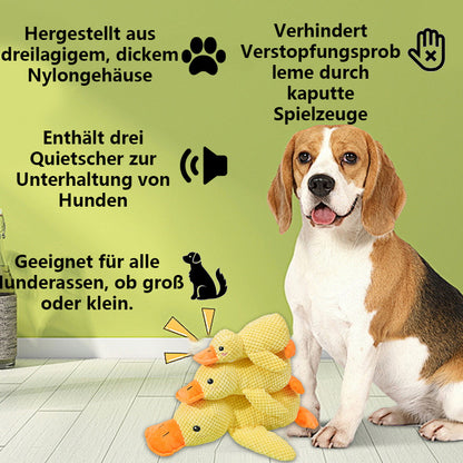 🦆Quak-Quak Spaß für Hunde! 🐾